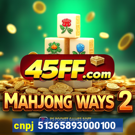 cnpj 51365893000100